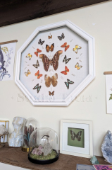 Large Multi-Butterfly Mandala