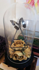 Roses and Butterfly Display